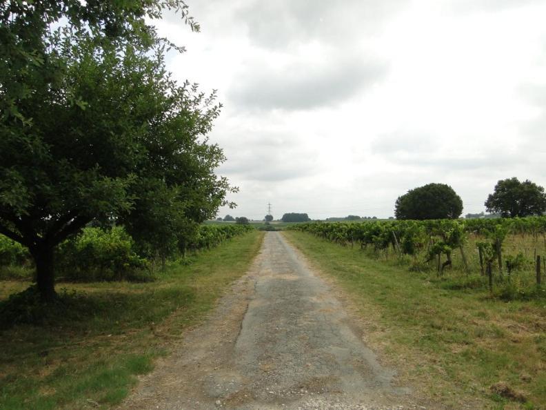 Chateau Monichot Organic Vineyard Tauriac  ภายนอก รูปภาพ
